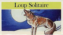 Image du logo des livres dont vous etes le héros Loup Solitaire